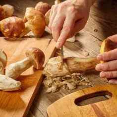 Mrożone grzyby do zupy. Uważaj! Błędne rozmrażanie niszczy ich smak
